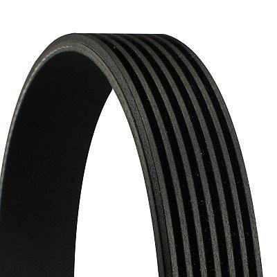 CONTINENTAL CTAM Ιμάντας poly-V, 7PK 2418